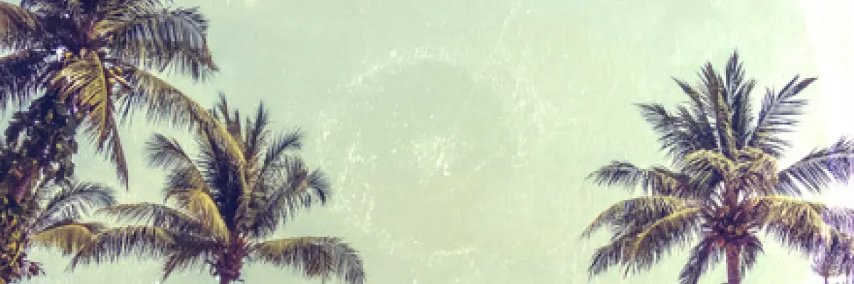 R.I.O. x KYANU x Nicco – Party Shaker